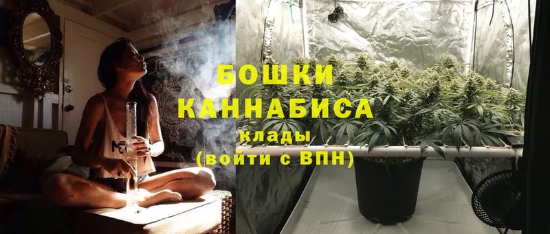 МАРИХУАНА THC 21%  купить наркотики цена  Чишмы 